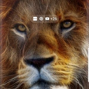 Meet your Posher, Dex